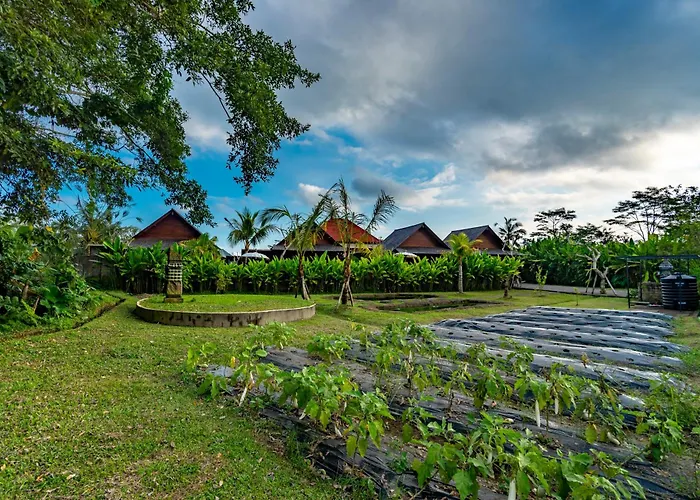 ヴィラ Tiare Ubud By Dhananjaya Hospitality *